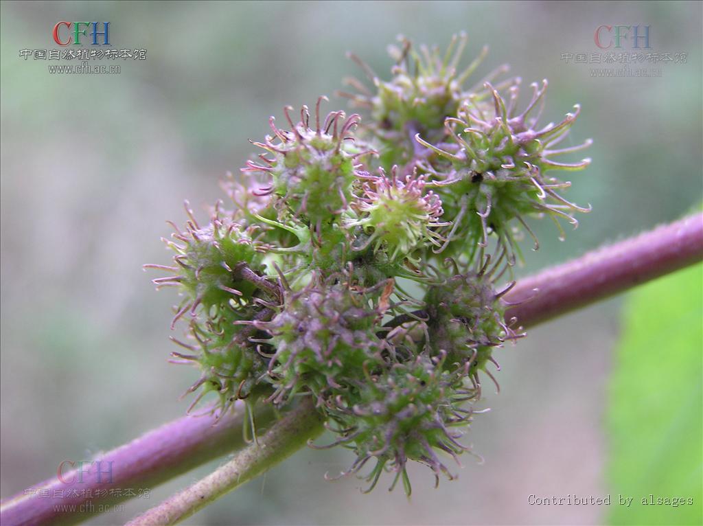 米兰体育入口 -^^O鋓蒴?z;的简单介绍